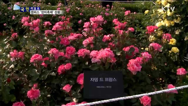 형형색색 장미 축제…캠퍼스 수놓아