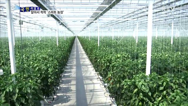 알아서 척척…쑥쑥자라는 "스마트 농장“