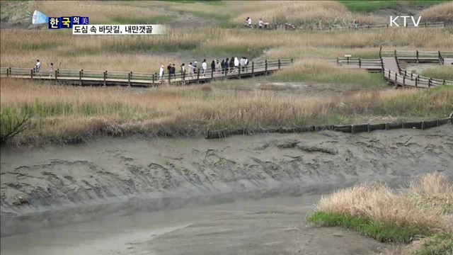 도심 속 바닷길, 내만갯골 [한국의 美]