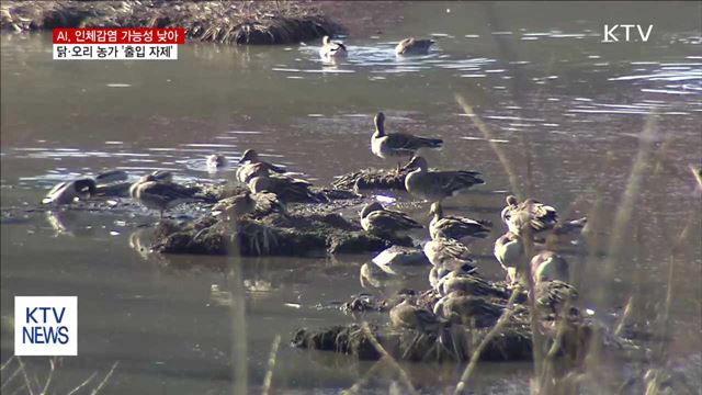인체감염 가능성 낮아…농가 '출입 자제'