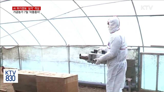 KTV 830 (337회)