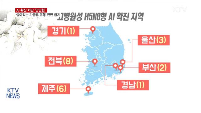 2주 동안 살아있는 닭·오리 유통 '전면 금지'