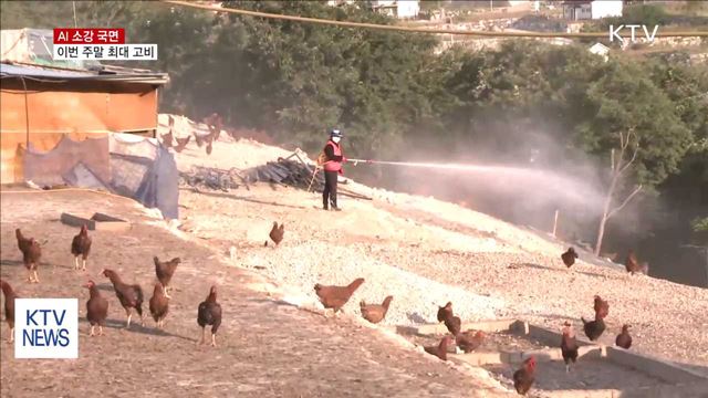 AI 소강 국면…이번 주말 최대 고비