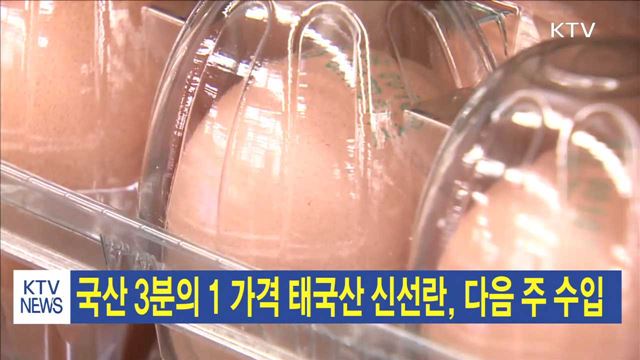 국산 3분의 1 가격 태국산 신선란, 다음 주 수입