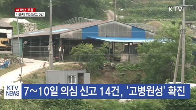 AI 확산 주춤…나흘째 의심신고 0건