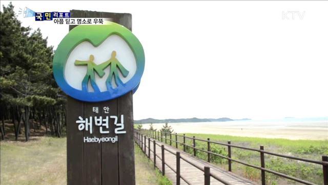 '태안 해변길 100km' 힐링명소 '우뚝'