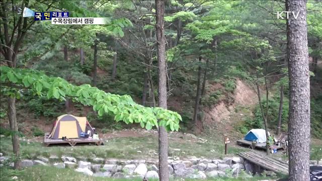 자연친화 수목장림에서 캠핑 즐겨요