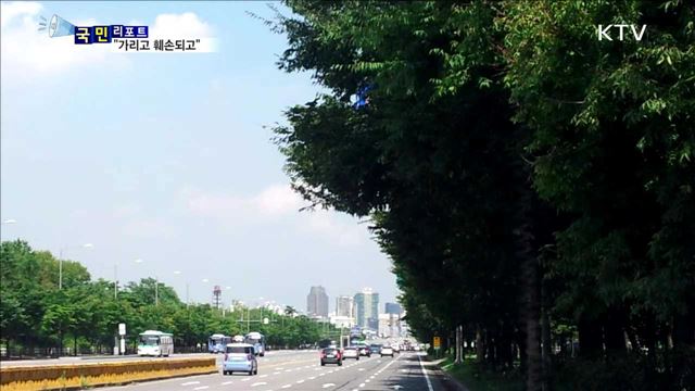 "가리고 훼손되고"…교통 표지판 관리 허술