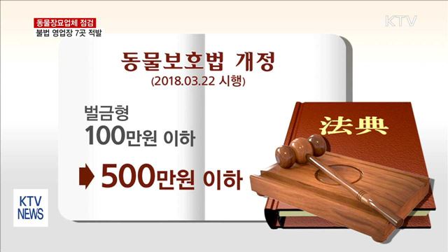 동물장묘업체 점검…불법 영업장 7곳 적발