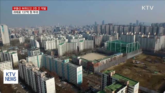 '부동산 다운계약' 등 허위신고 2천 건 적발