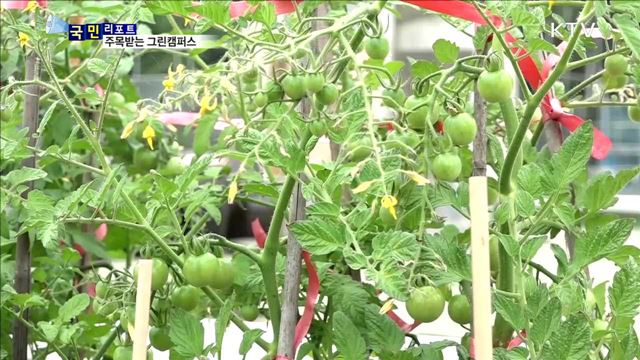 유학생-주민이 함께 만든 '그린캠퍼스’