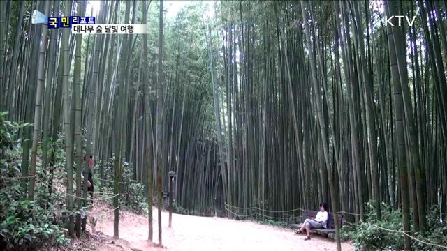 인문학과 함께하는 대나무 숲 달빛 여행