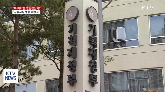 "금융시장 영향 제한적…실시간 모니터링"