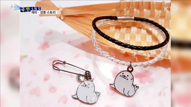 독도 주변에 살던 바다사자의 일종인 강치를 아시나요? 