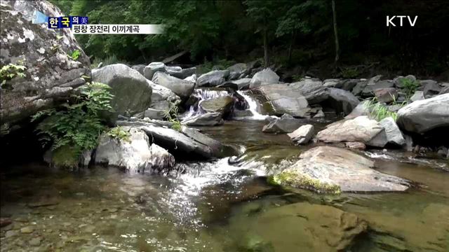 평창 장전리 이끼계곡 [한국의 美]