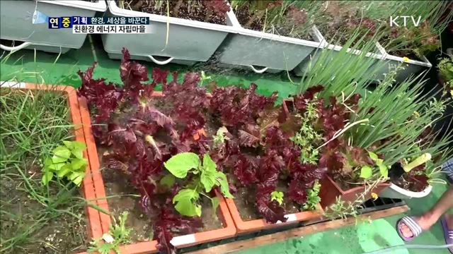 환경과 미래를 위해 자연 에너지를 활용해요