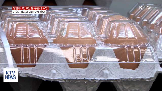 달걀 무관세 수입…가습기살균제 피해 구제 확대