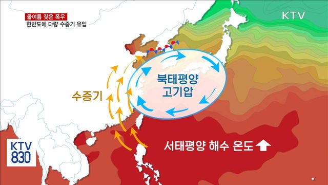 올여름 잦은 폭우 왜?…수증기 다량 유입