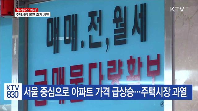 '투기수요 억제'…주택시장 불안 조기 차단