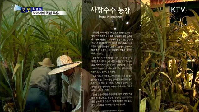 하와이 농장서 번 돈으로 독립 자금 지원