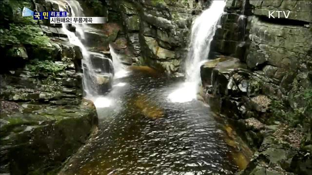 시원한 물줄기…무릉계곡 폭포 장관 