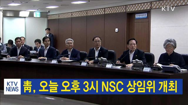 靑, 오늘 오후 3시 NSC 상임위 개최