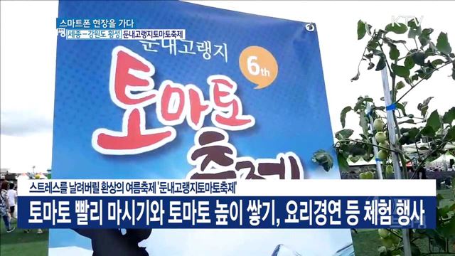 스트레스를 날려버릴 환상의 여름축제 '둔내고랭지토마토축제'