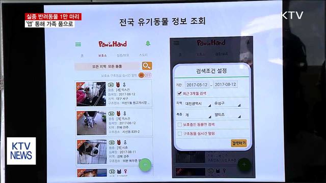 유실·유기 반려동물 1만 마리, '앱' 통해 가족 품으로