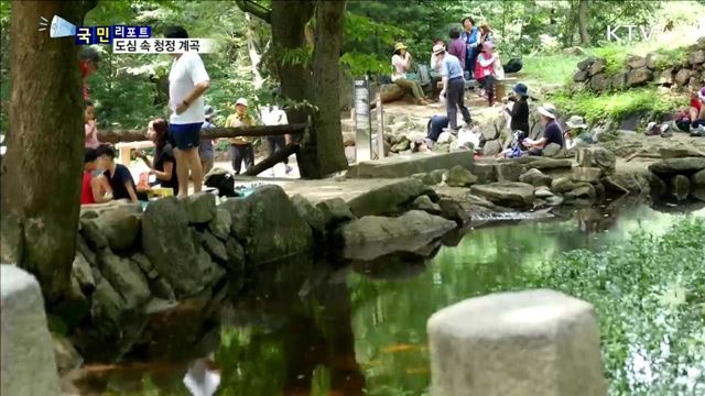 도심 속 청정 계곡…무더위 식혀요 