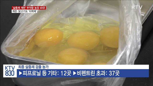 '살충제 계란' 검출 농장 49곳…계란·닭고기도 '이력제'