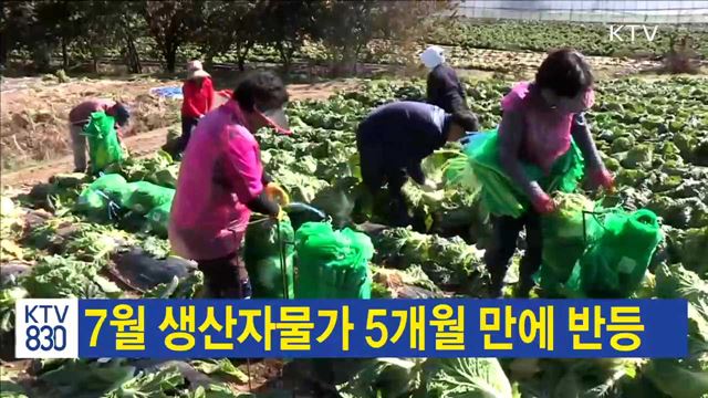 7월 생산자물가 5개월 만에 반등