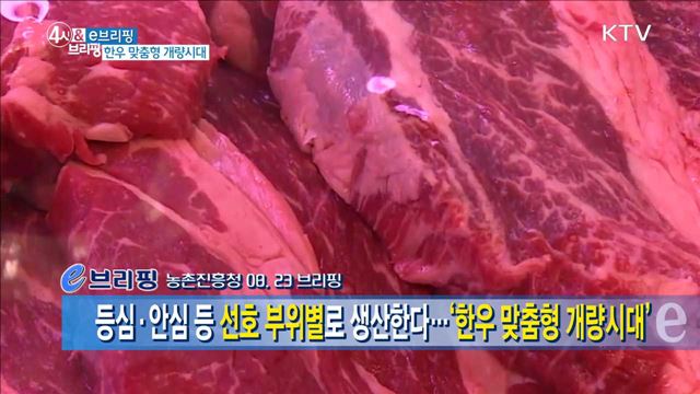 등심·안심 등 선호 부위별로 생산한다··· '한우 맞춤형 개량시대' [e 브리핑]