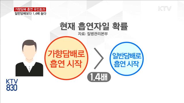 가향담배 흡연 유인효과, 일반담배보다 '1.4배'↑