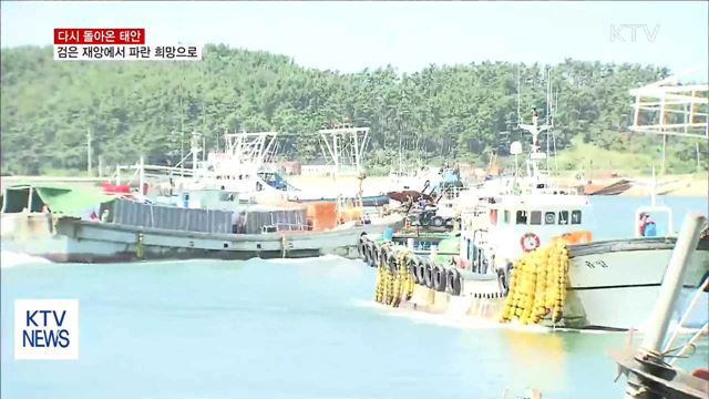 다시 돌아온 태안…검은 재앙에서 파란 희망으로