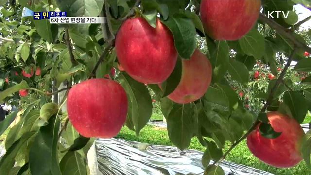 해피버스데이 타고 사과 농장을 가다