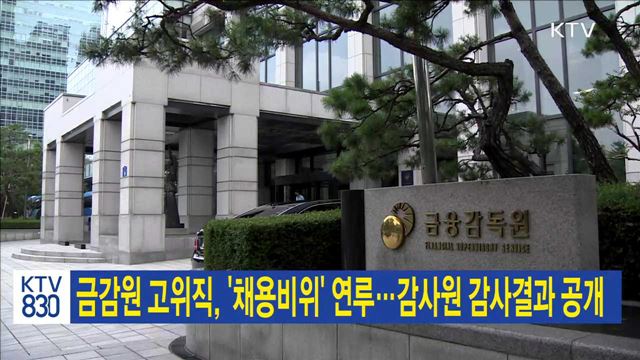 금감원 고위직, '채용비위' 연루…감사원 감사결과 공개