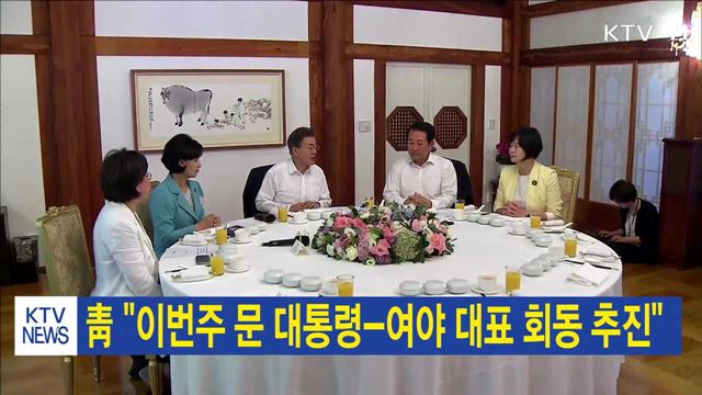 靑 "이번주 문 대통령-여야 대표 회동 추진"