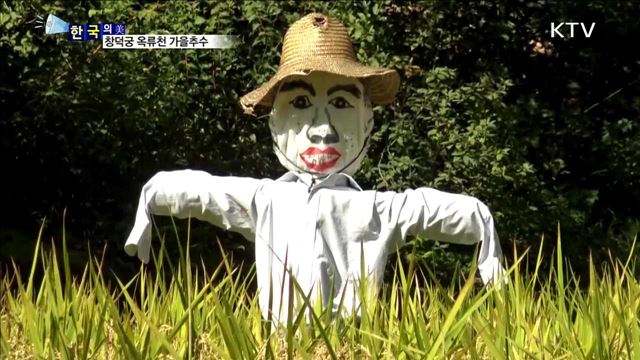 창덕궁 옥류천 가을추수 [한국의 美]