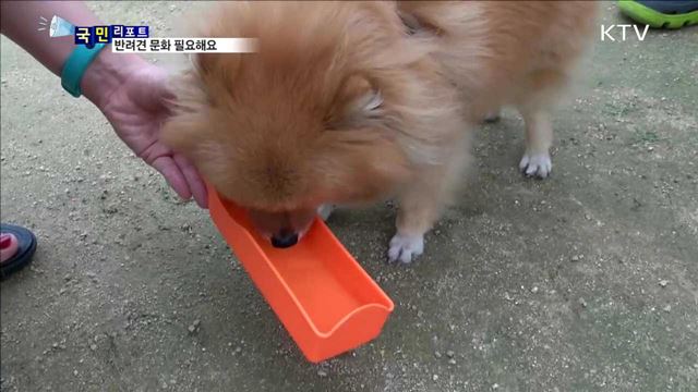 반려동물 인구 천만시대…걸맞는 문화 절실