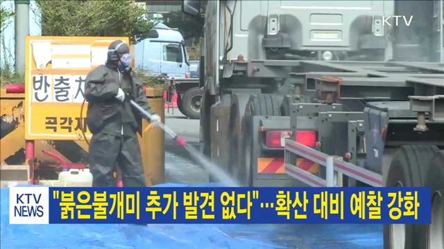 "붉은불개미 추가 발견 없다"…확산 대비 예찰 강화