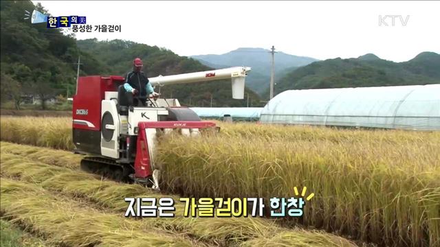 풍성한 가을걷이 [한국의 美]