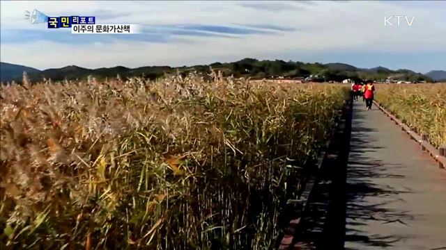 이주의 문화가 산책 (17. 11. 2. 8시)