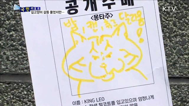 길고양이 100만 시대… "당국 대책 주민 떠넘겨“
