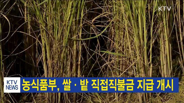 농식품부, 쌀·밭 직접직불금 지급 개시