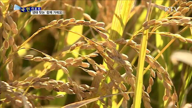함께 가꾸는 "생태 텃논"…풍성한 첫 수확