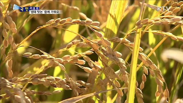 함께 가꾸는 "생태 텃논"…풍성한 첫 수확