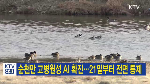 순천만 고병원성 AI 확진…21일부터 전면 통제