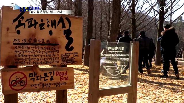 처치 힘든 도시 은행잎, 관광지에서 재탄생