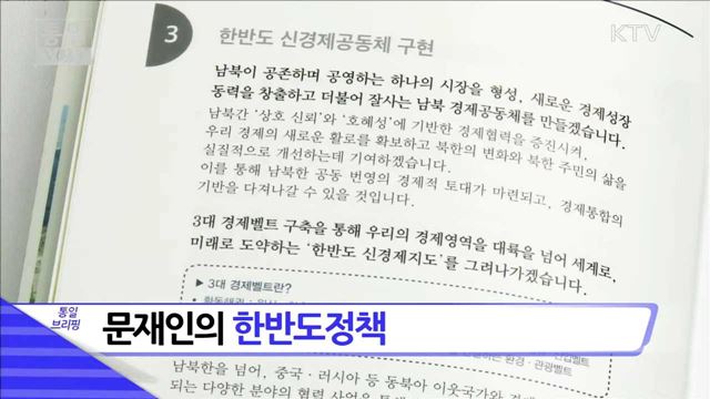 문재인의 한반도정책