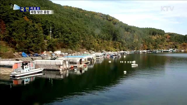 제철맞은 마산 홍합…항, 포구 북적